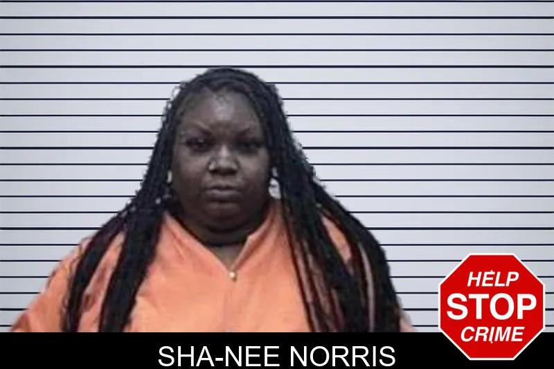 Sha-Nee Norris mugshot