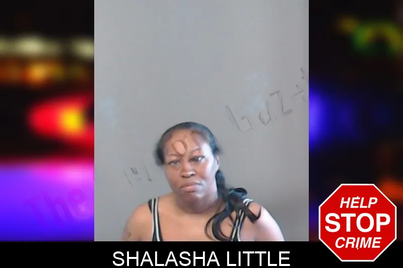 Shalasha Little mugshot – DeKalb County , Georgia Shalasha Little mugshot