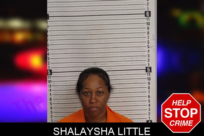 Shalaysha Little mugshot – Rockdale County , Georgia Shalaysha Little mugshot