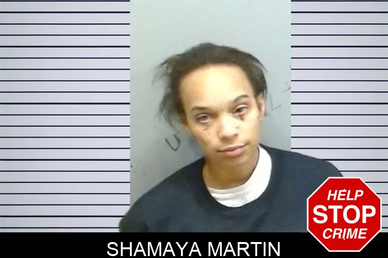 Shamaya Martin mugshot – Fulton County , Georgia Shamaya Martin mugshot