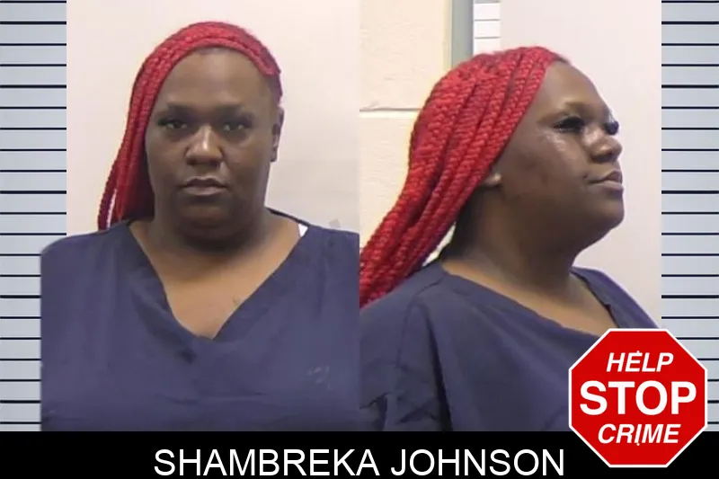 Shambreka Johnson mugshot