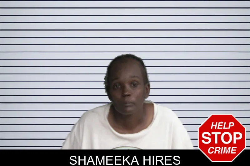 Shameeka Hires mugshot