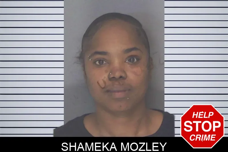 Shameka Mozley mugshot
