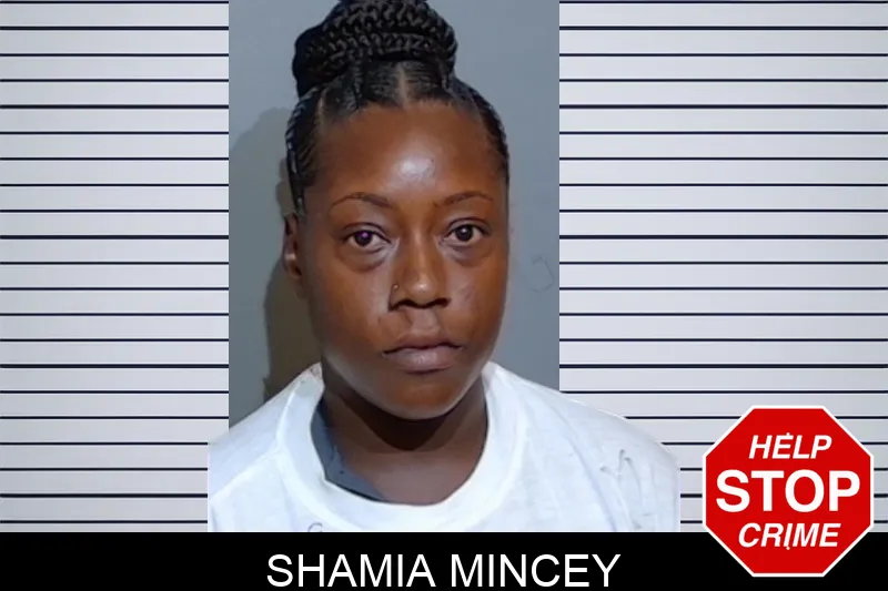 Shamia Mincey mugshot – Glynn County , Georgia Shamia Mincey mugshot