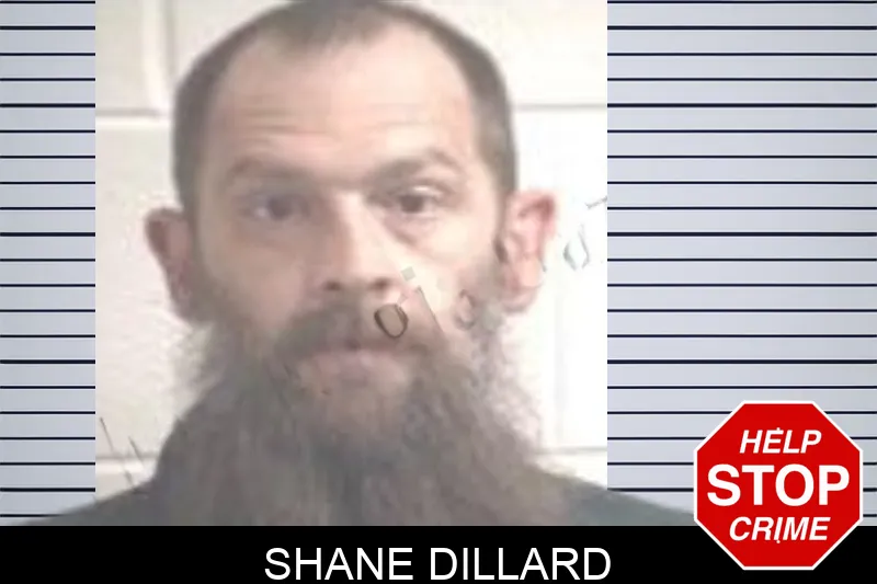 Shane Dillard mugshot – Henry County , Georgia Shane Dillard mugshot