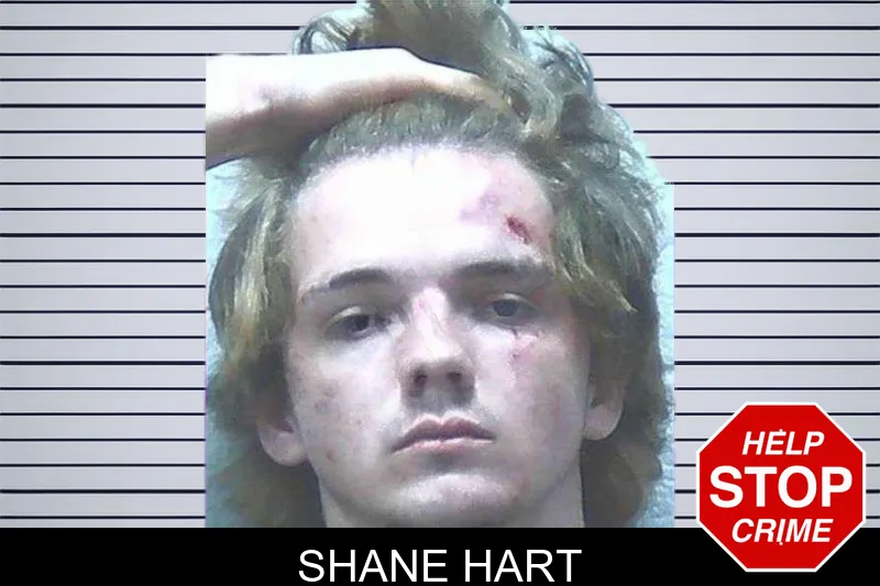 Shane Hart mugshot
