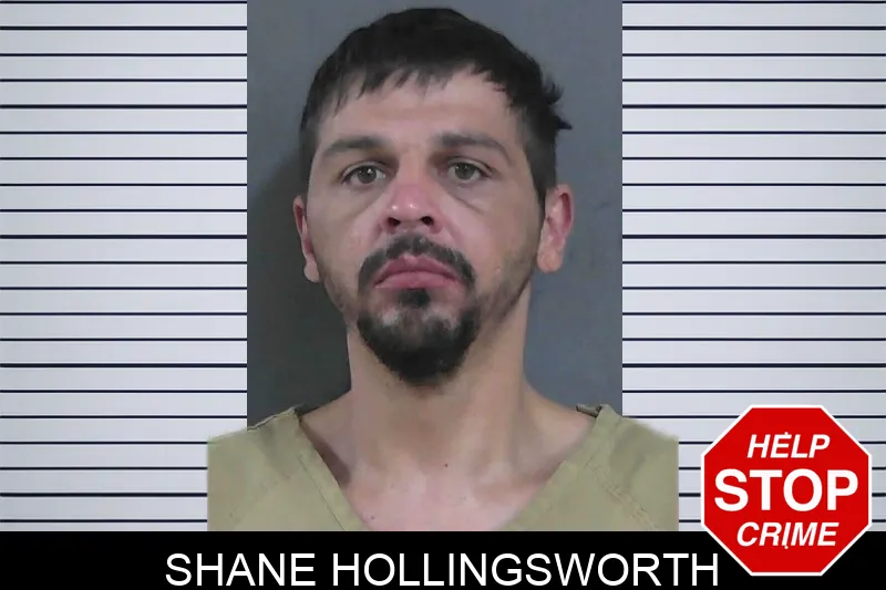 Shane Hollingsworth mugshot