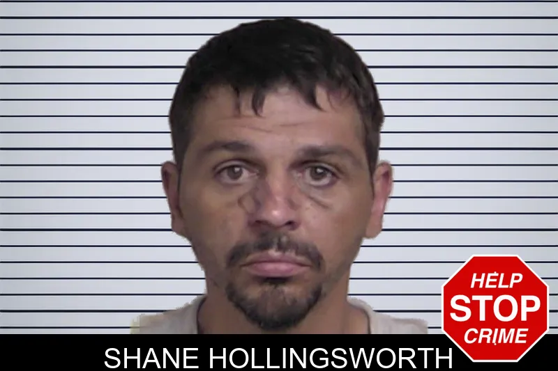 Shane Hollingsworth mugshot