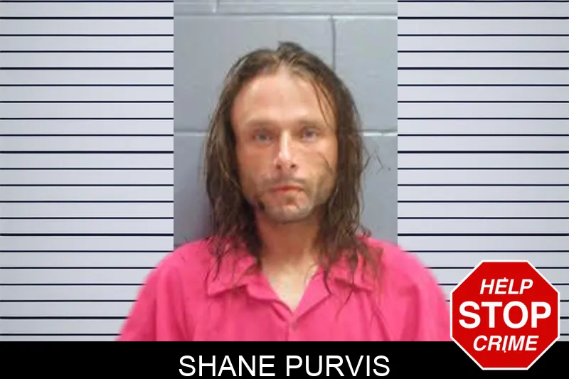 Shane Purvis mugshot – Lee County , Georgia Shane Purvis mugshot