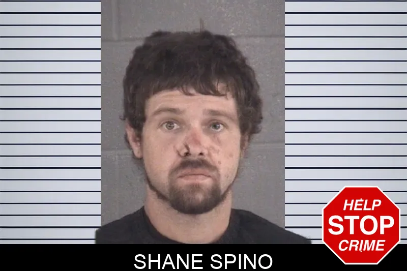 Shane Spino mugshot
