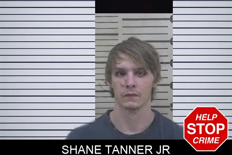 Shane Tanner Jr mugshot