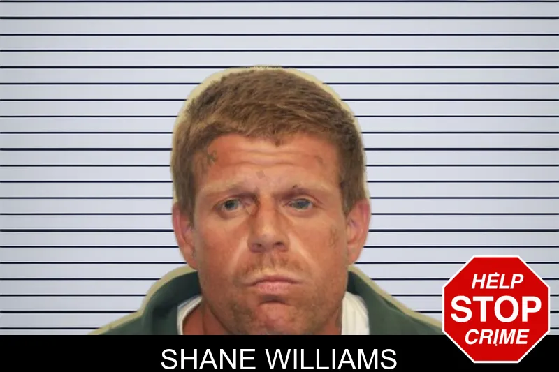 Shane Williams mugshot