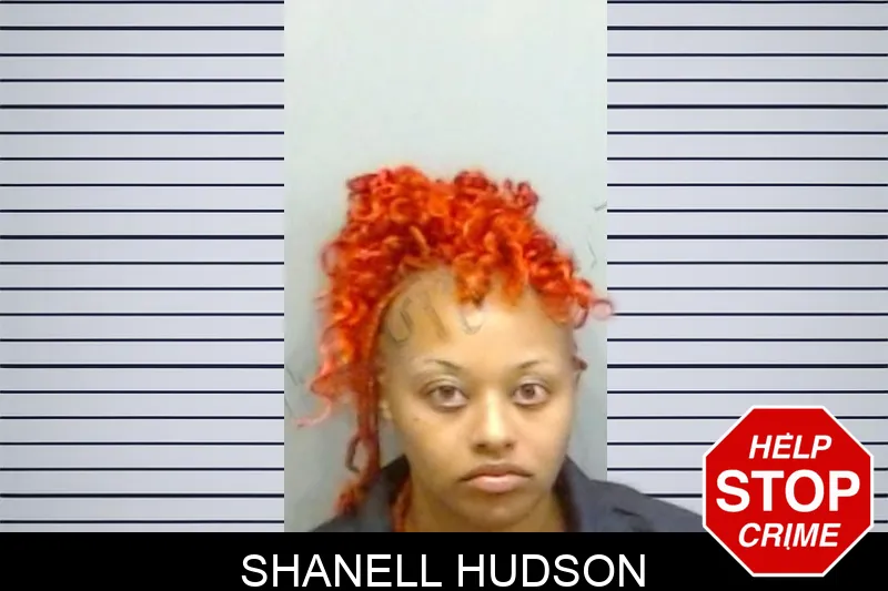 Shanell Hudson mugshot – Fulton County , Georgia Shanell Hudson mugshot