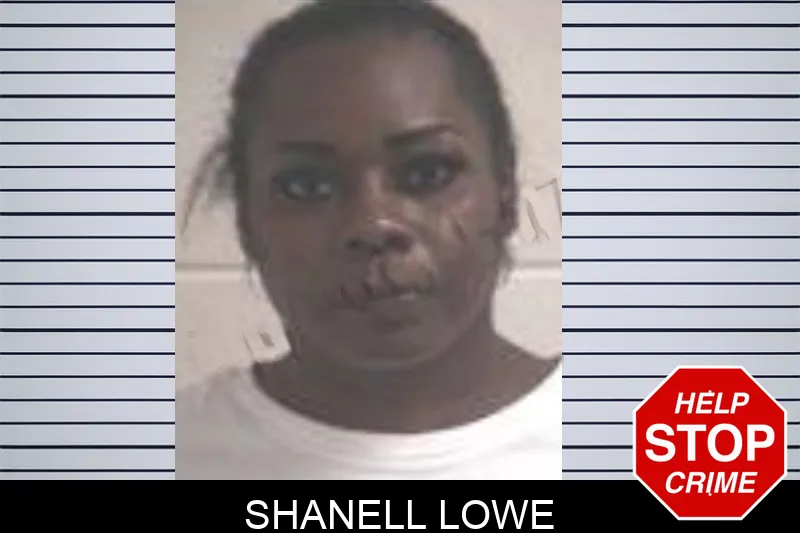 Shanell Lowe mugshot – Henry County , Georgia Shanell Lowe mugshot