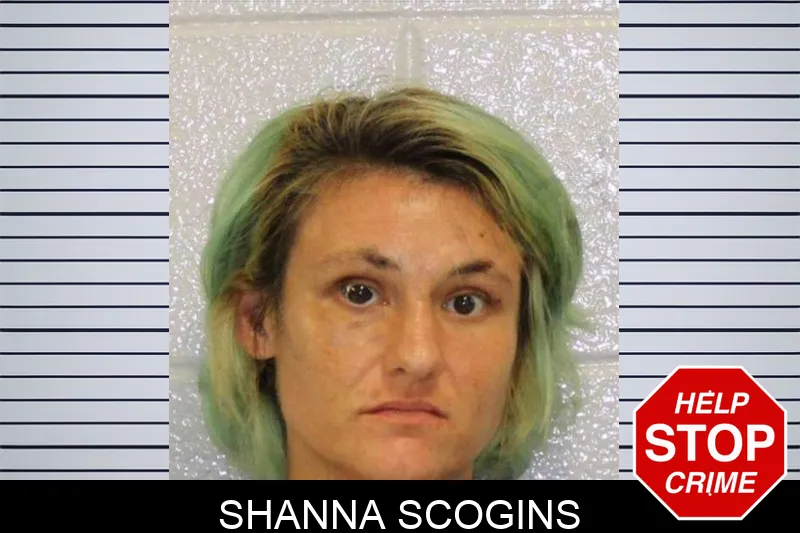 Shanna Scogins mugshot
