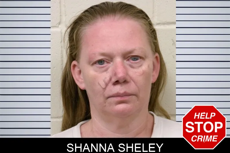 Shanna Sheley mugshot – Bulloch County , Georgia Shanna Sheley mugshot