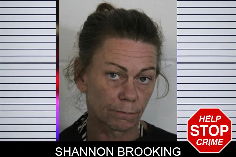 Shannon Brooking mugshot – Floyd County , Georgia Shannon Brooking mugshot