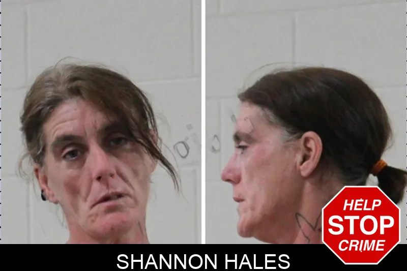 Shannon Hales mugshot – Houston County , Georgia Shannon Hales mugshot