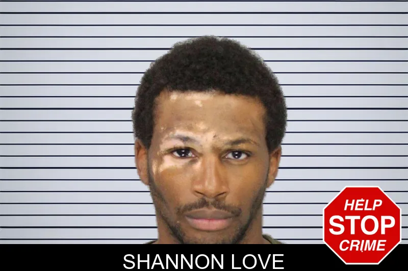 Shannon Love mugshot
