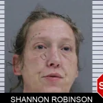 Shannon Robinson mugshot – Rabun County , Georgia Shannon Robinson mugshot