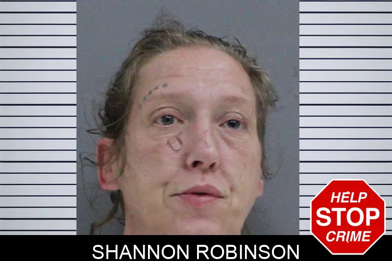 Shannon Robinson mugshot