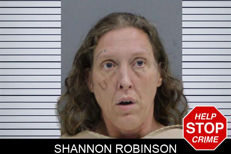 Shannon Robinson mugshot