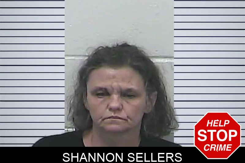 Shannon Sellers mugshot