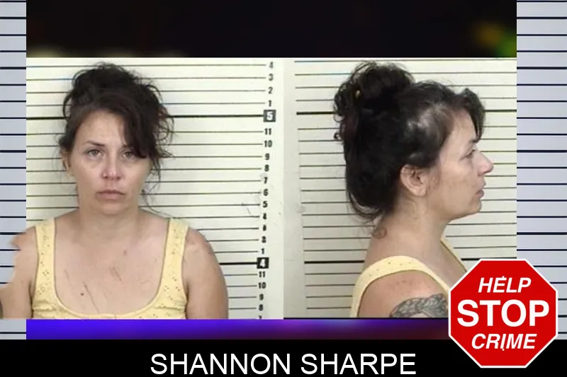 Shannon Sharpe mugshot