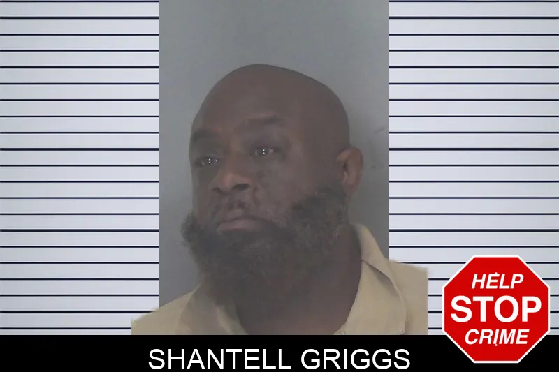 Shantell Griggs mugshot