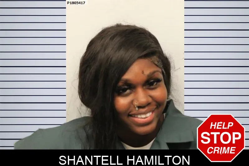 Shantell Hamilton mugshot – Chatham County , Georgia Shantell Hamilton mugshot