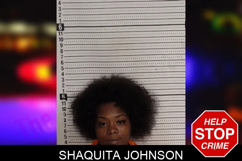 Shaquita Johnson mugshot