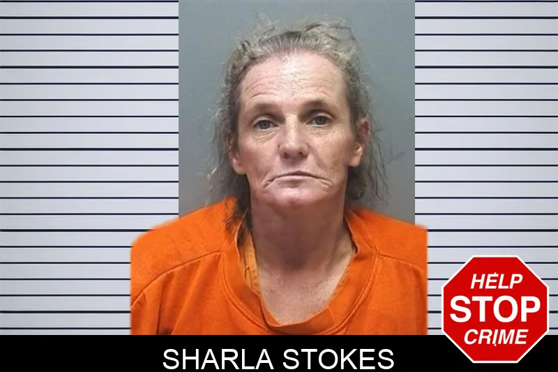 Sharla Stokes mugshot