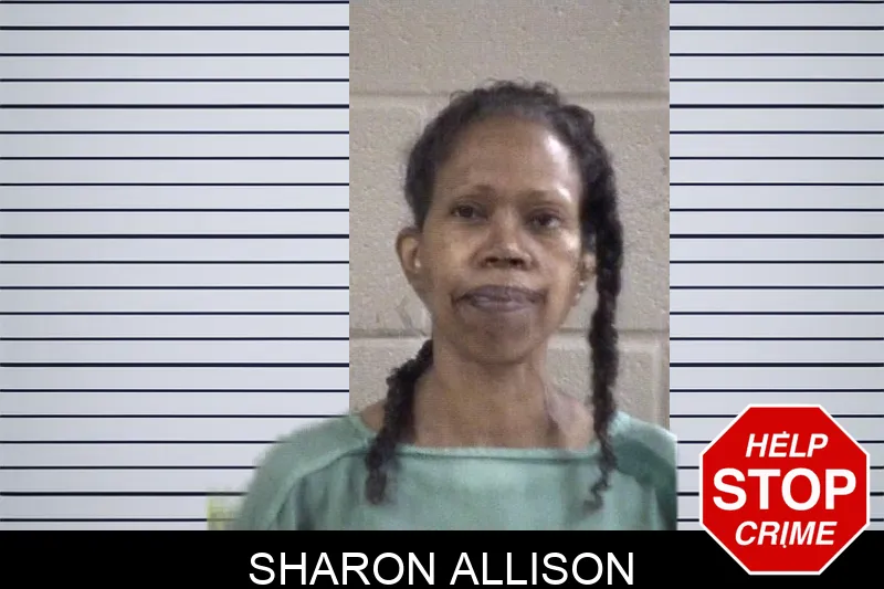 Sharon Allison mugshot