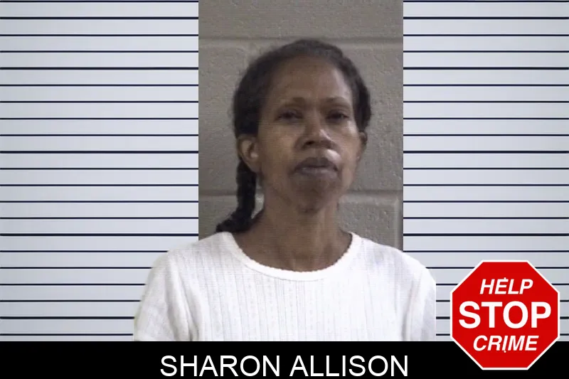Sharon Allison mugshot – Whitfield County , Georgia Sharon Allison mugshot