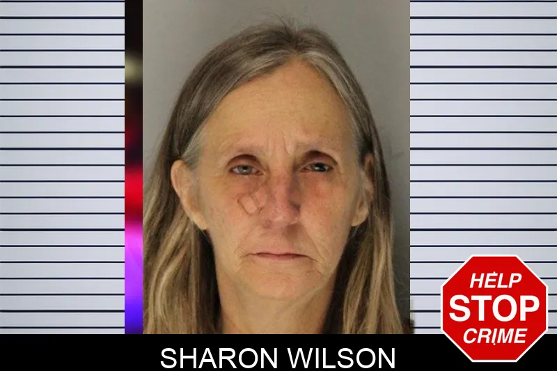 Sharon Wilson mugshot