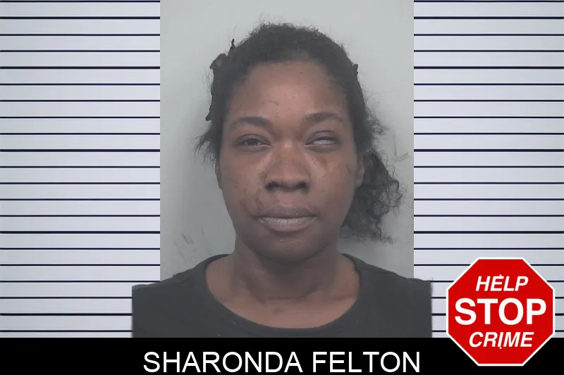Sharonda Felton mugshot – Gwinnett County , Georgia Sharonda Felton mugshot