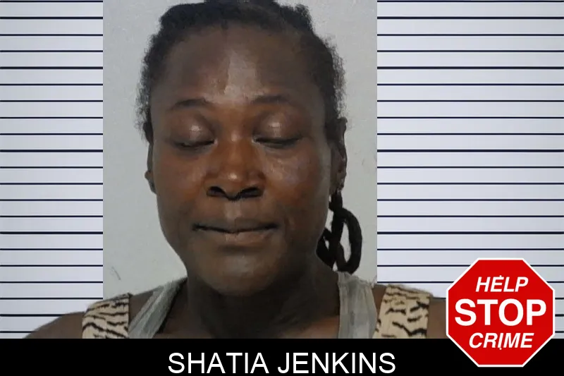 Shatia Jenkins mugshot – Bibb County , Georgia Shatia Jenkins mugshot