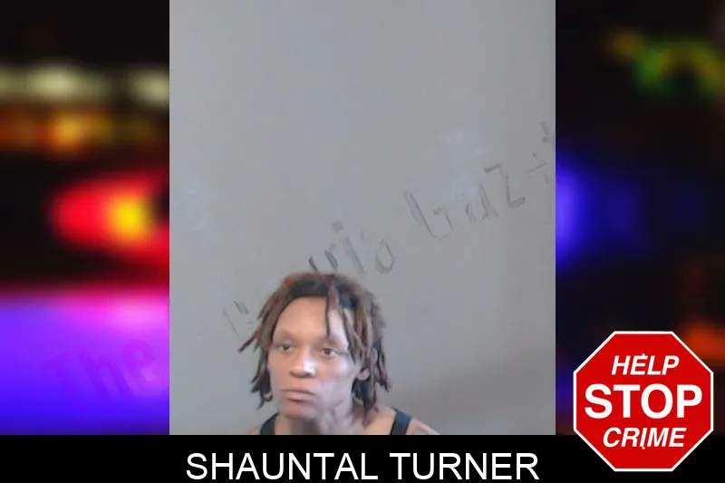 Shauntal Turner mugshot – DeKalb County , Georgia Shauntal Turner mugshot