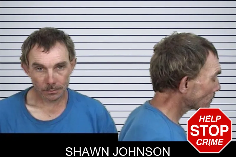 Shawn Johnson mugshot
