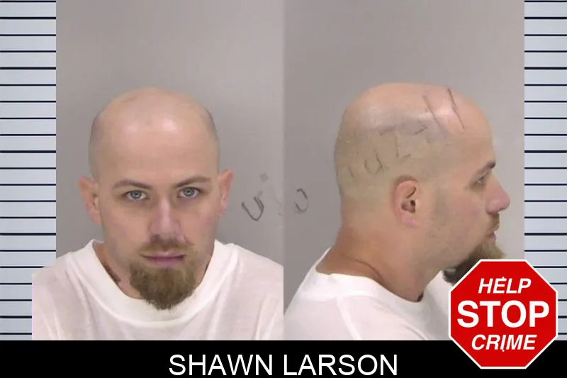 Shawn Larson mugshot