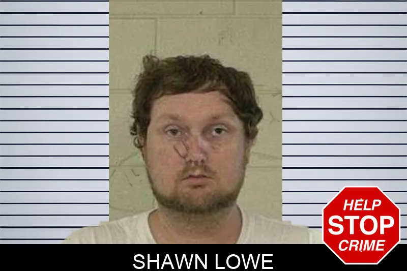 Shawn Lowe mugshot