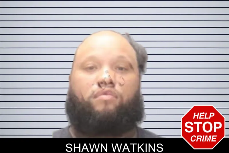 Shawn Watkins mugshot