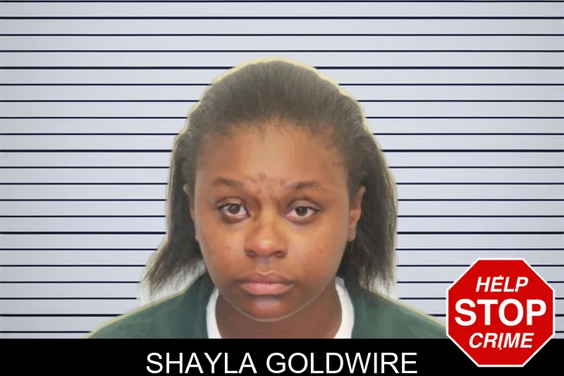 Shayla Goldwire mugshot