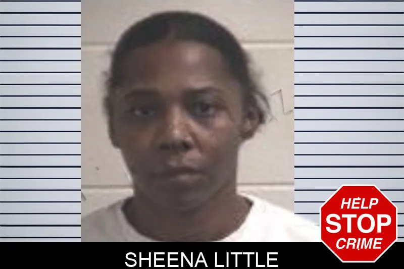 Sheena Little mugshot – Henry County , Georgia Sheena Little mugshot