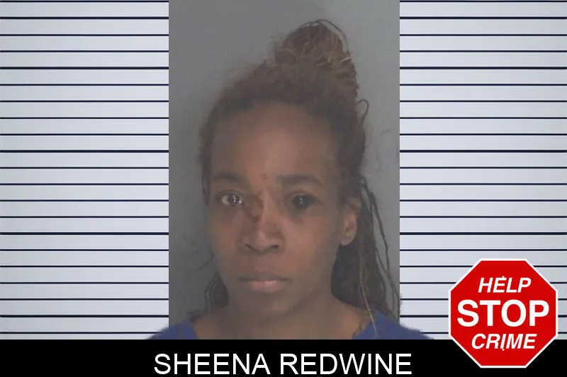 Sheena Redwine mugshot – Douglas County , Georgia Sheena Redwine mugshot