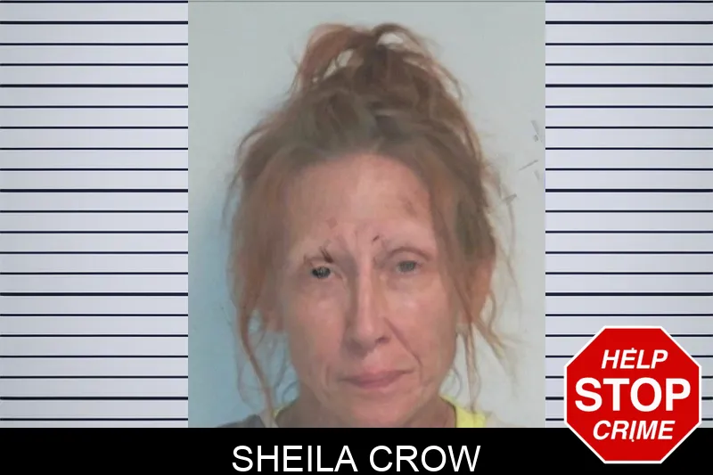 Sheila Crow mugshot