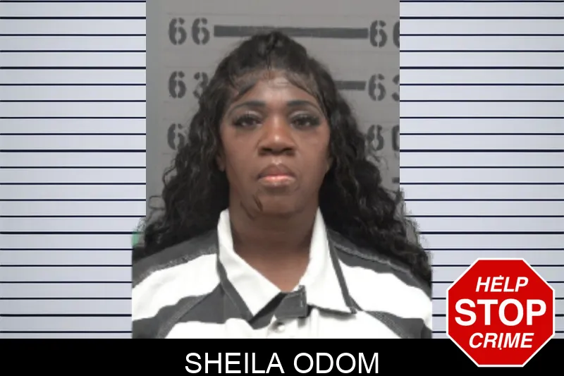 Sheila Odom mugshot – Dougherty County , Georgia Sheila Odom mugshot