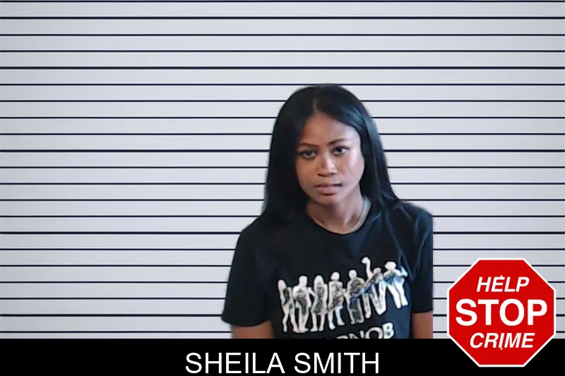 Sheila Smith mugshot – DeKalb County , Georgia Sheila Smith mugshot