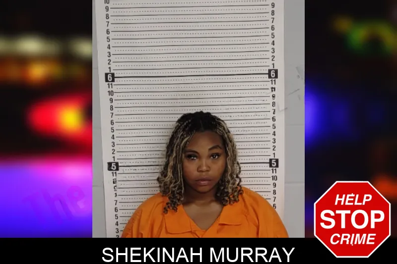 Shekinah Murray mugshot – Rockdale County , Georgia Shekinah Murray mugshot