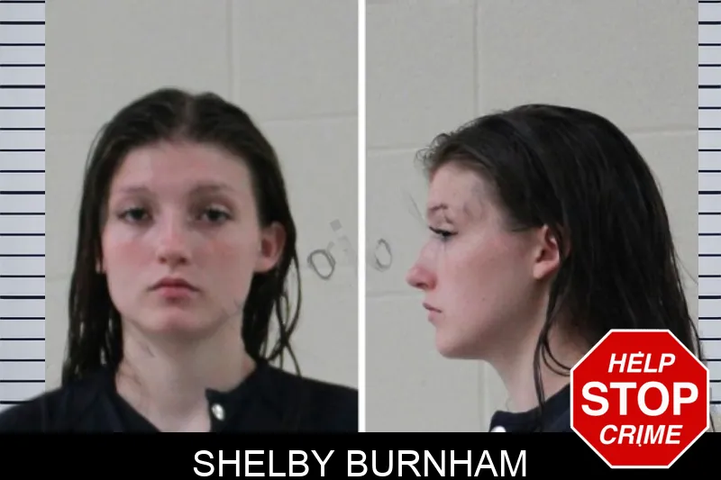 Shelby Burnham mugshot